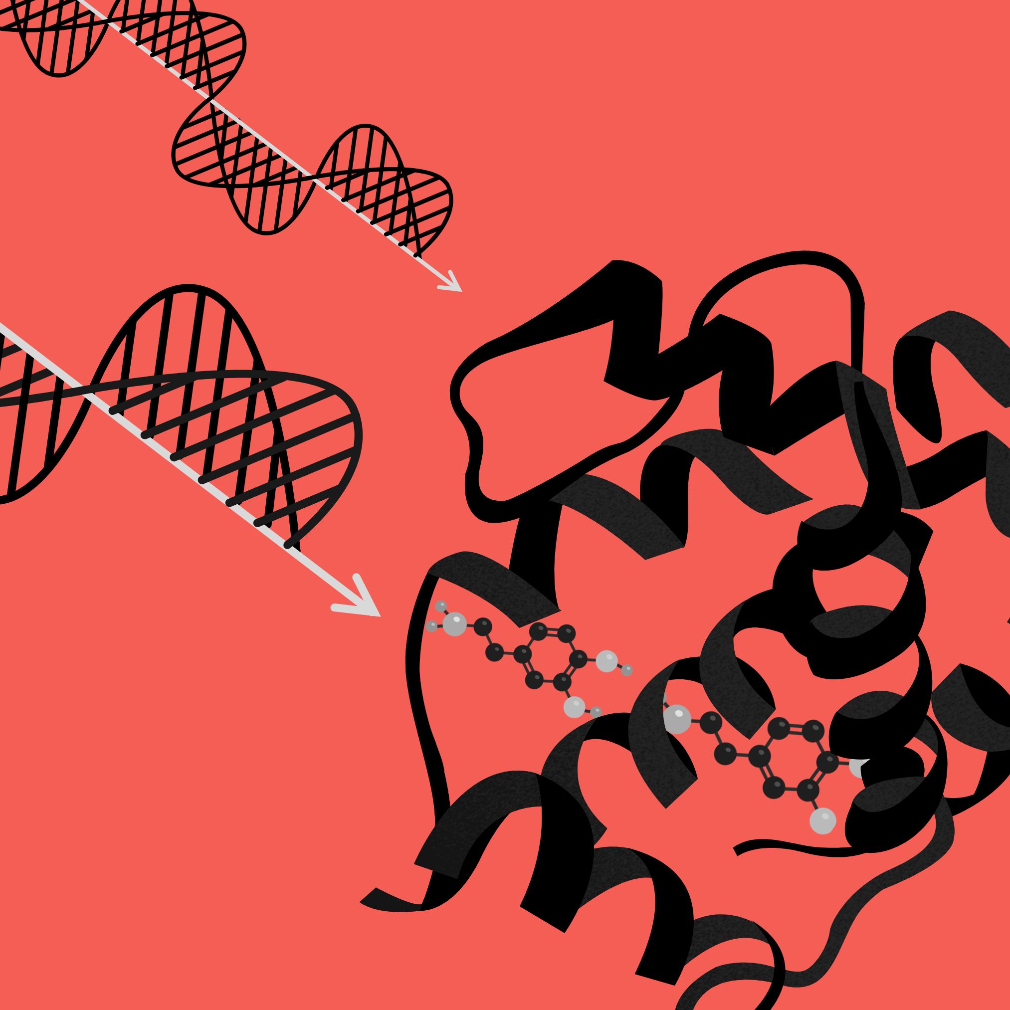 Condensed-phase Spectroscopy